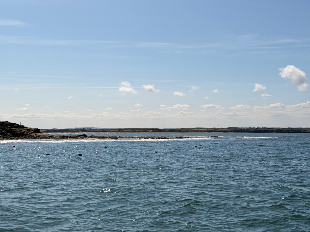 Amble boat trips-Amble必去景点