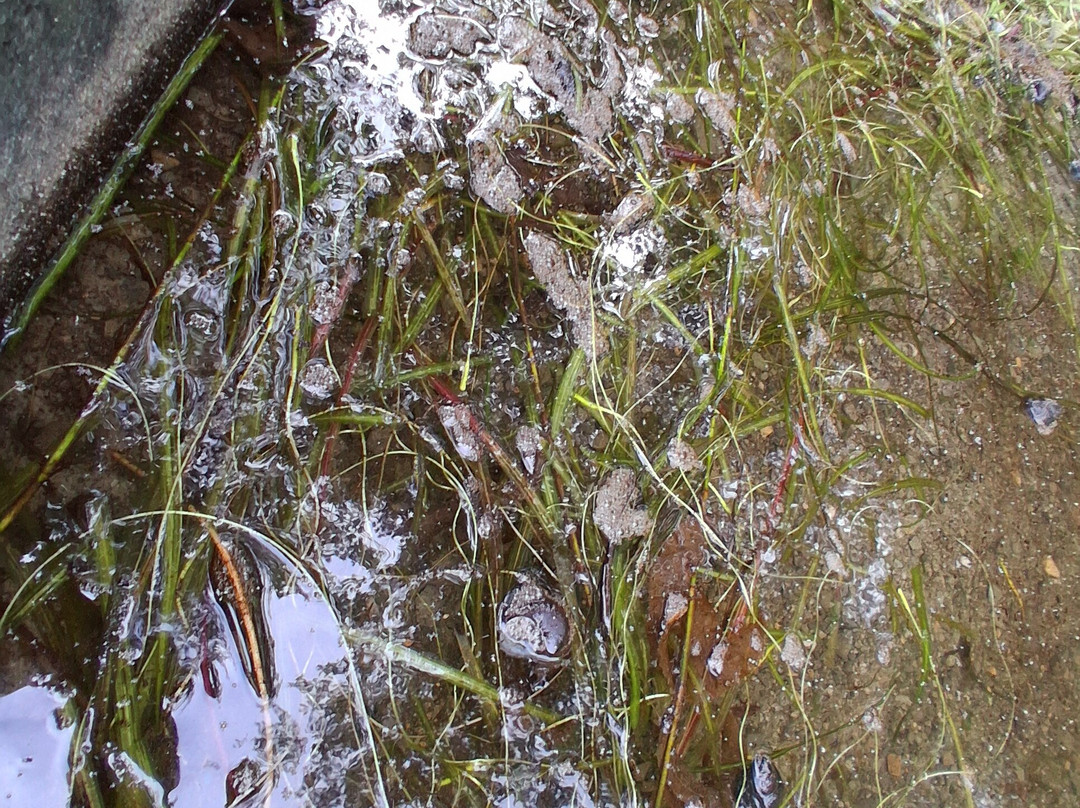 White Pond Multiple Use Area-Kent必去景点