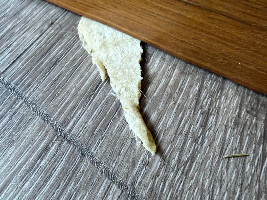 阿比林KS速8酒店主图