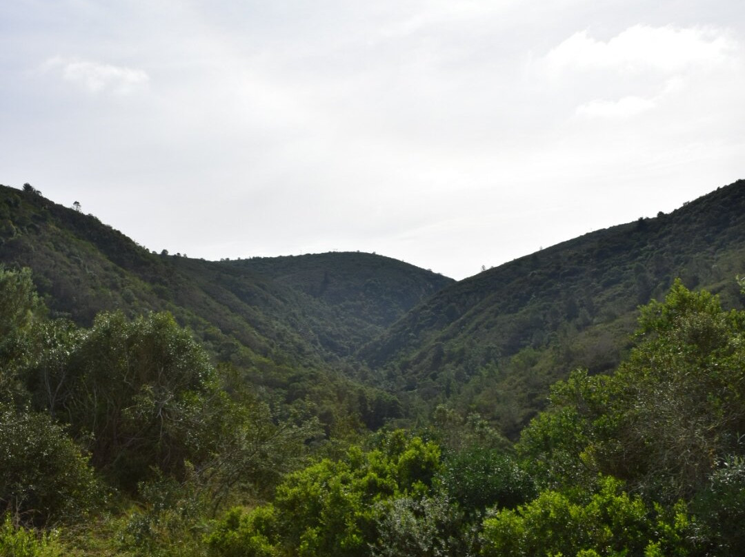 Botlierskop Private Game Reserve-莫塞尔贝必去景点