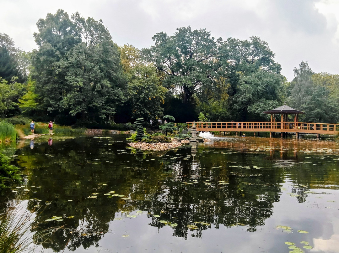 Japanese Garden - Szczytnicki Park-弗罗茨瓦夫必去景点
