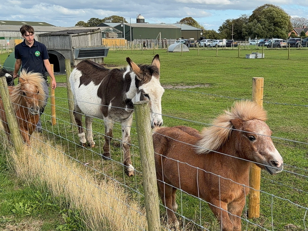 Farmer Teds Adventure Farm-Ormskirk必去景点