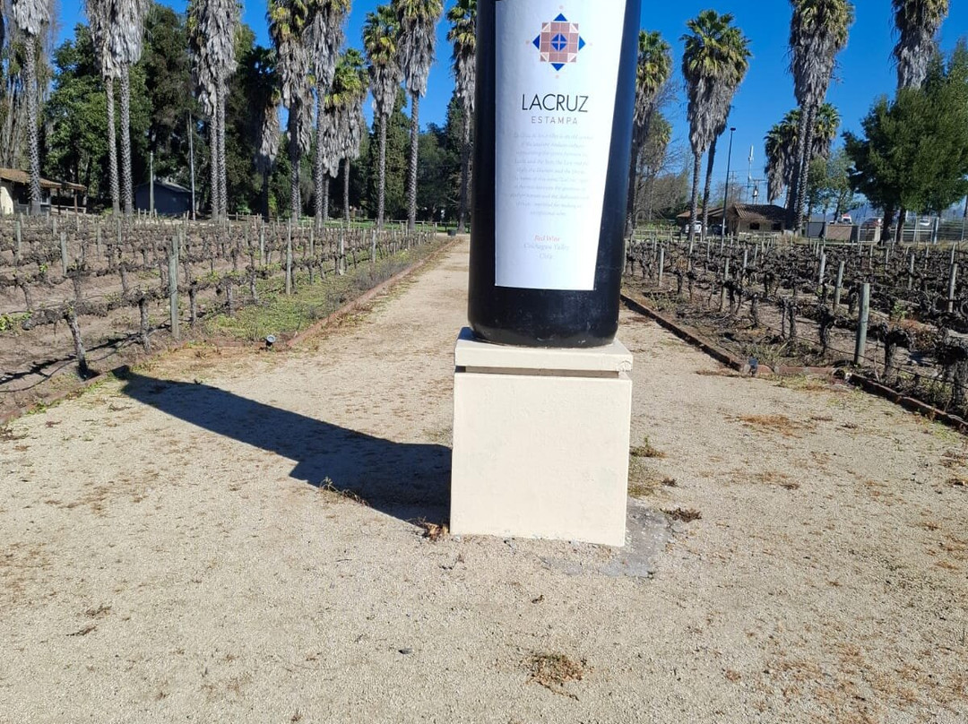 Estampa Winery-Palmilla必去景点