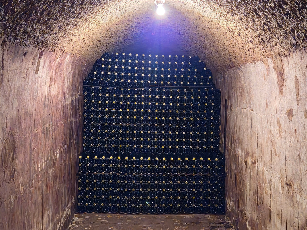 Champagne Lamiable-Tours-sur-Marne必去景点