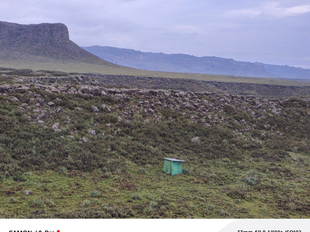 Bale Mountains Trekking Tours Ethiopia