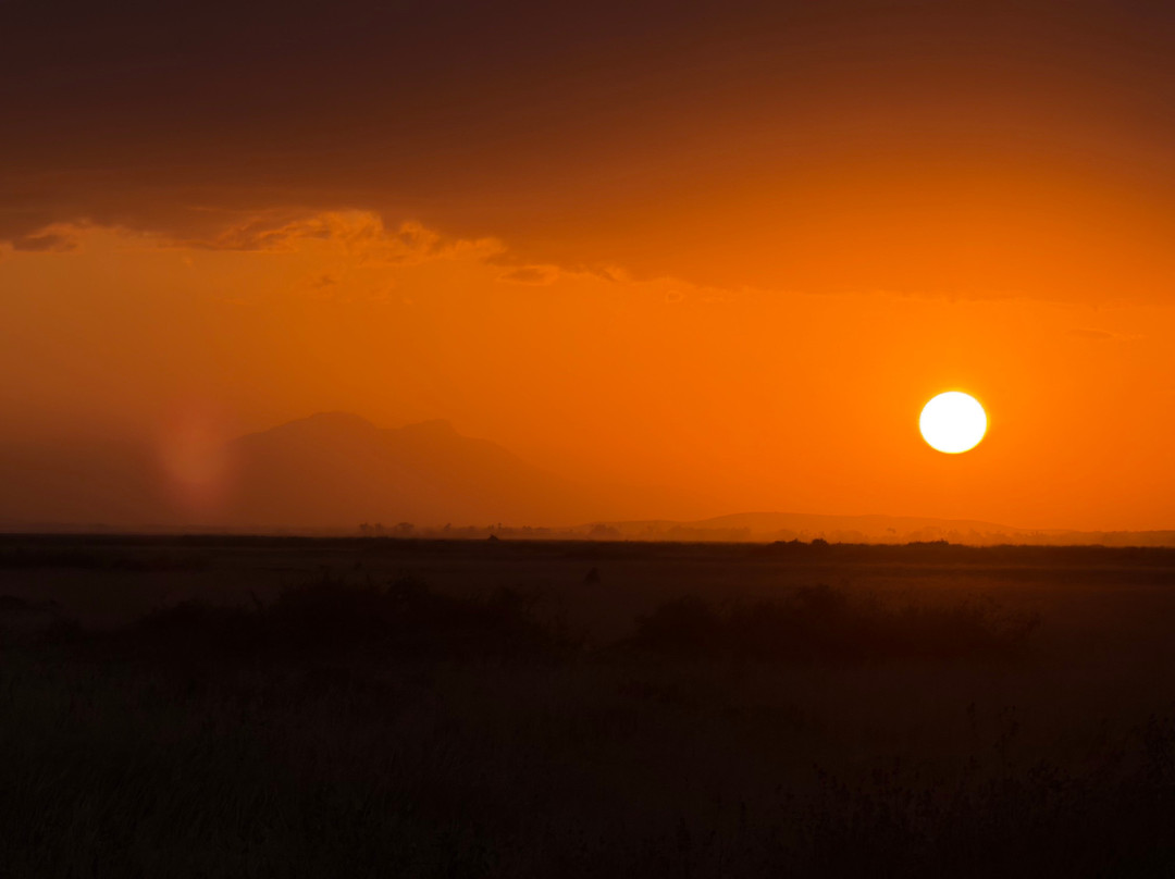 Maasai Safari & Cultural Tours-Kimana必去景点