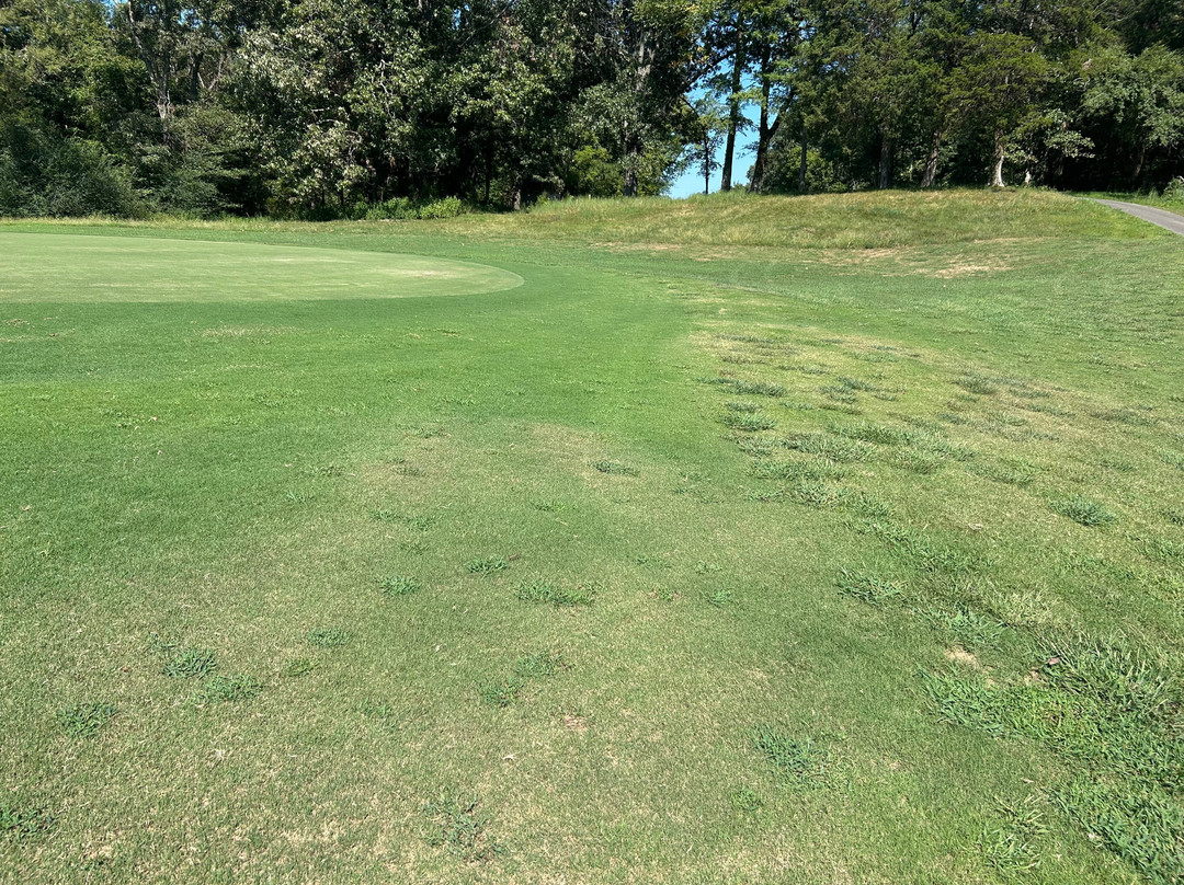 Paris Landing State Park Golf Course (TN Golf Trail)