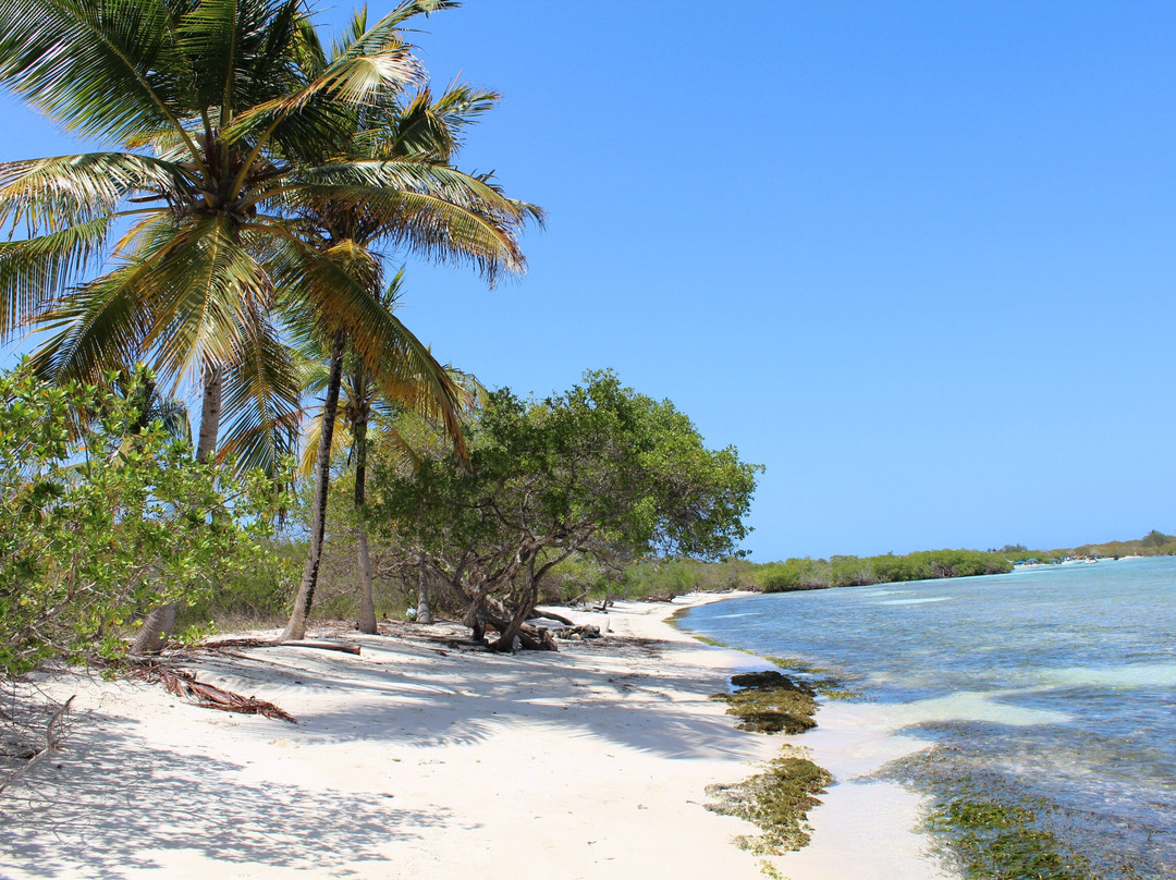Playa Mero-Morrocoy National Park必去景点