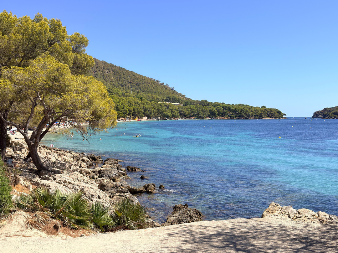 Playa de Formentor-Formentor必去景点