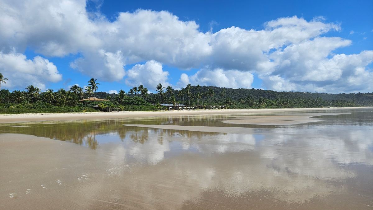 Ilheus North Residence-旅行者