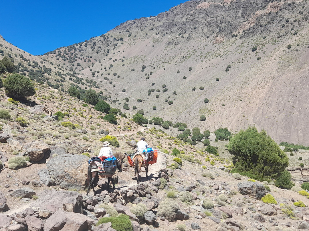 Morocco Trekking-马拉喀什必去景点