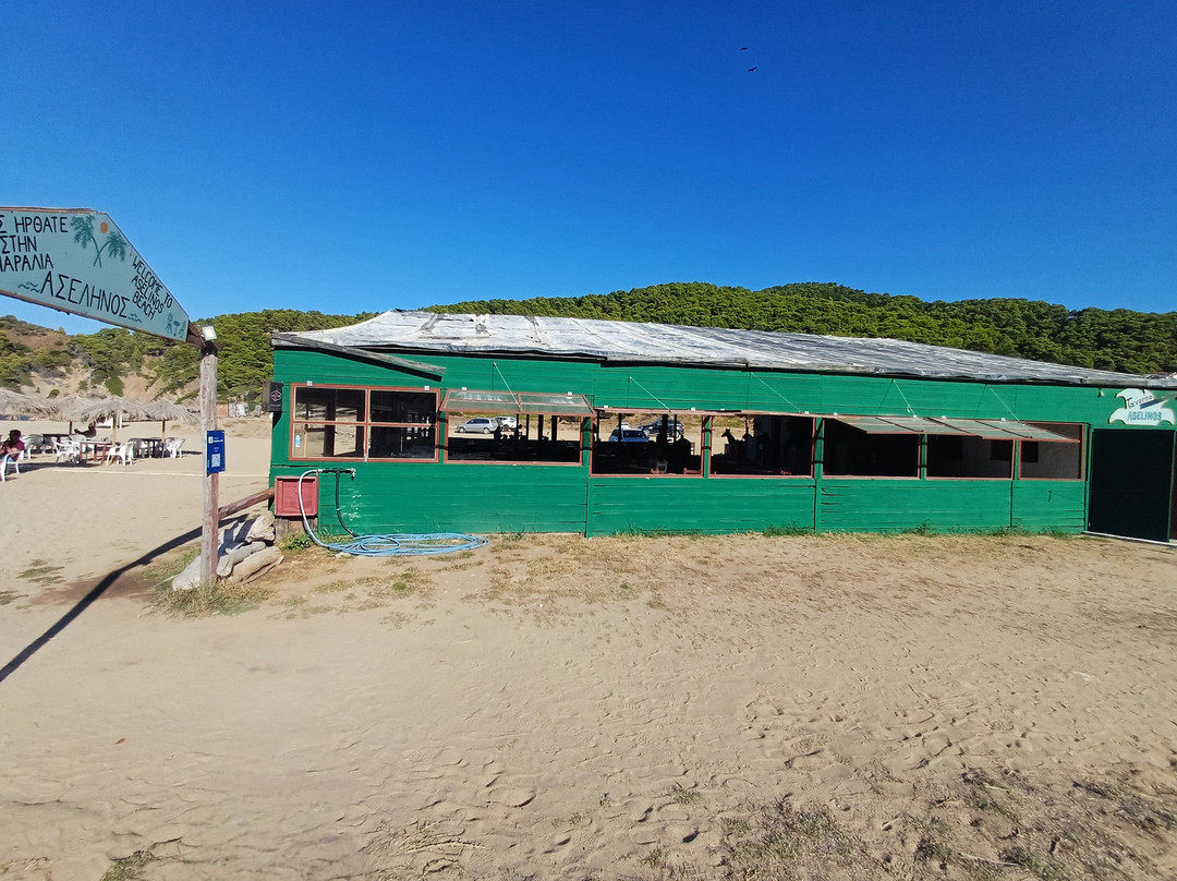 Megalos Aselinos Beach-斯亚索斯必去景点