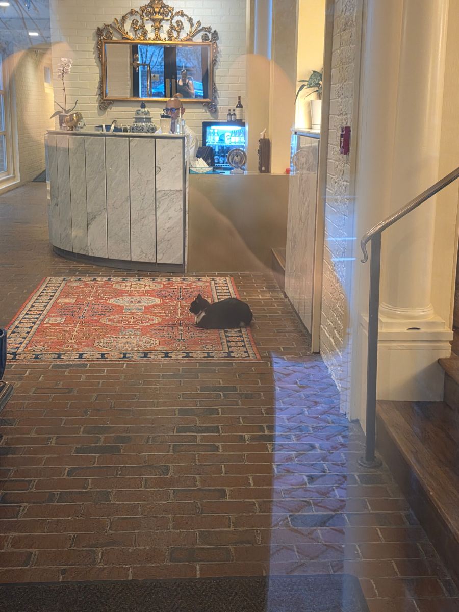 Linden Row Inn-旅行者