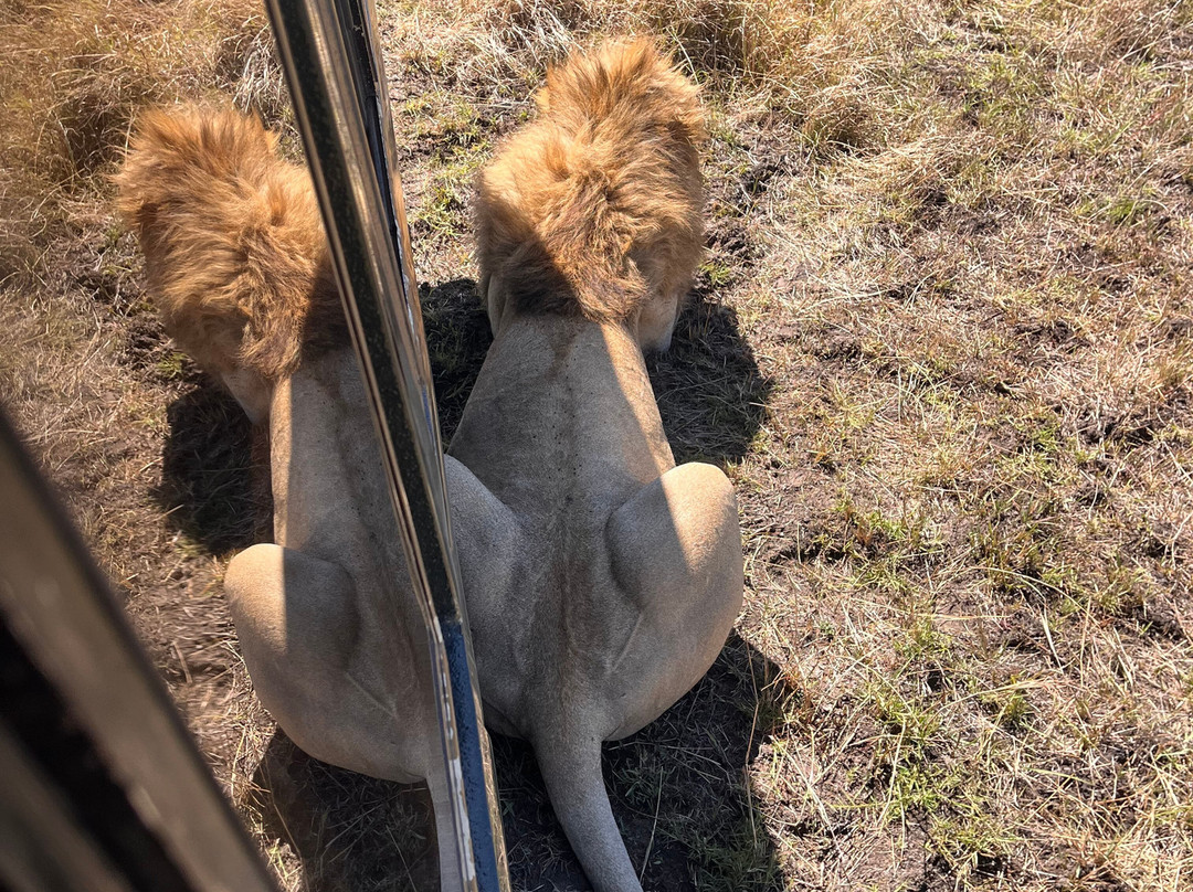 Brighte Maasai Adventures-Mara North Conservancy必去景点