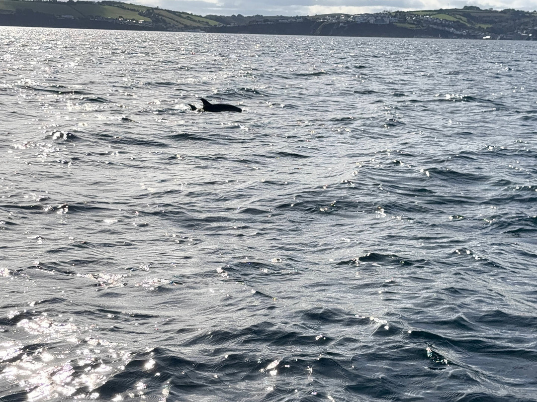 Mevagissey to Fowey Ferry-梅瓦吉西必去景点