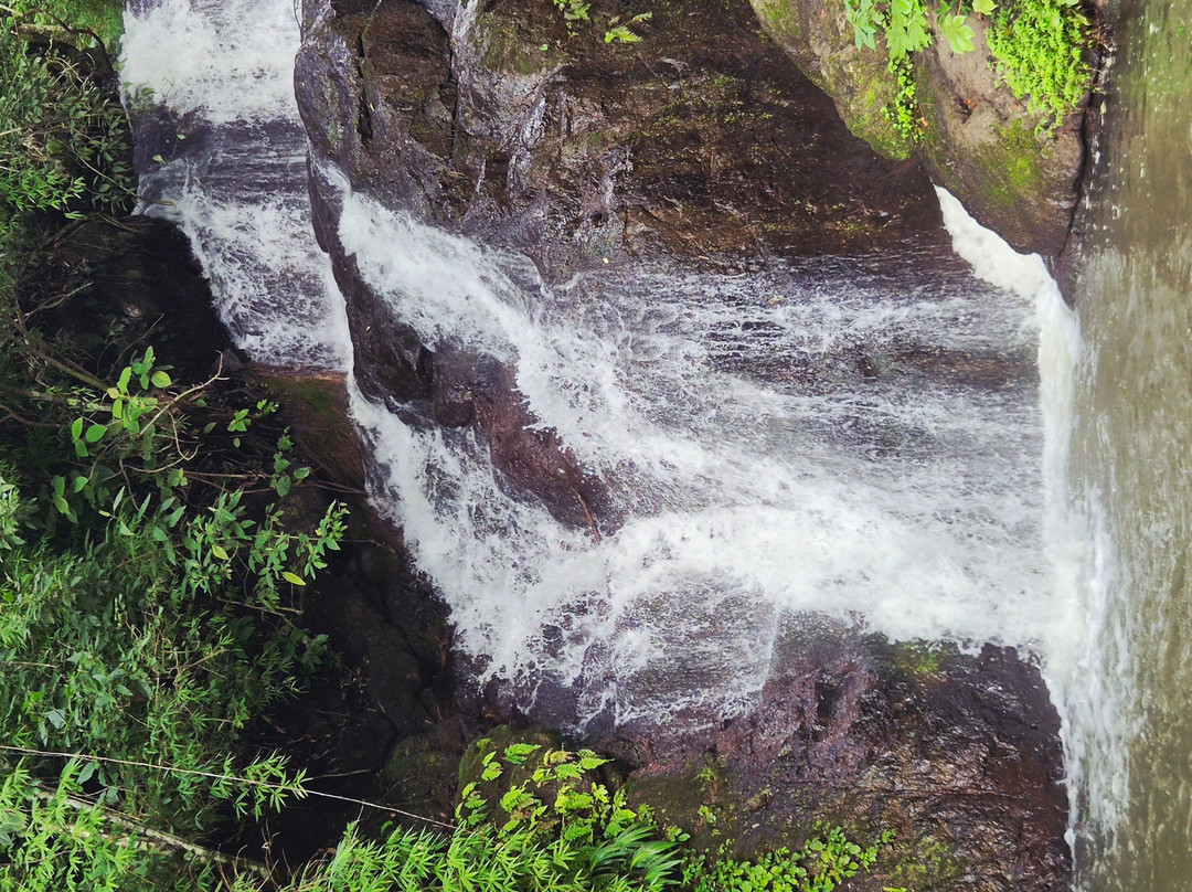 La Piedra Del Indio Waterfalls-Tilaran必去景点