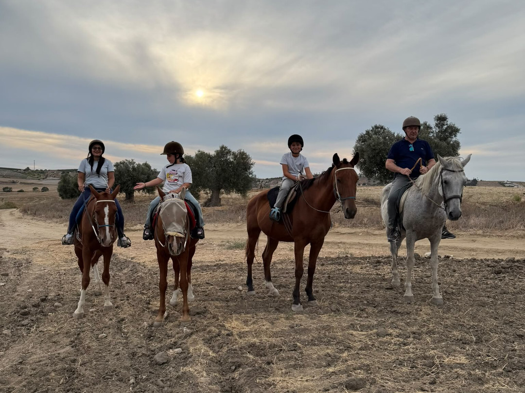 Al-Mesquid Stables-Sanlucar de Barrameda必去景点