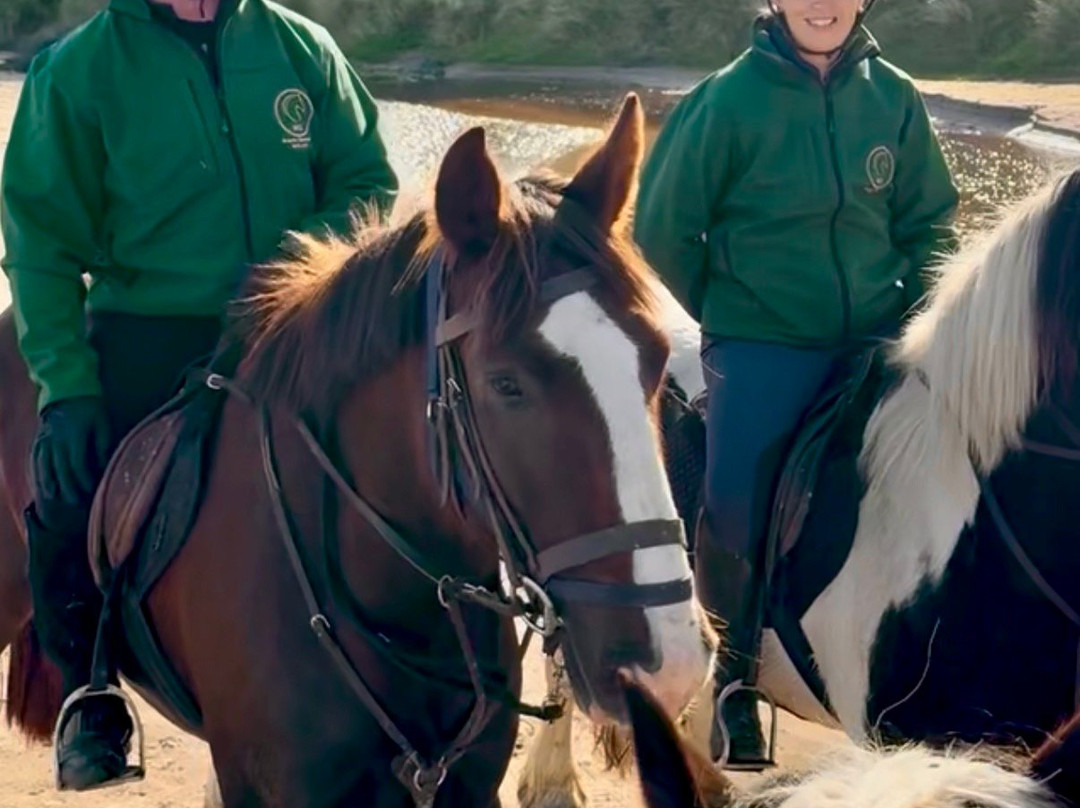 Bespoke Equestrian Ireland-都柏林必去景点