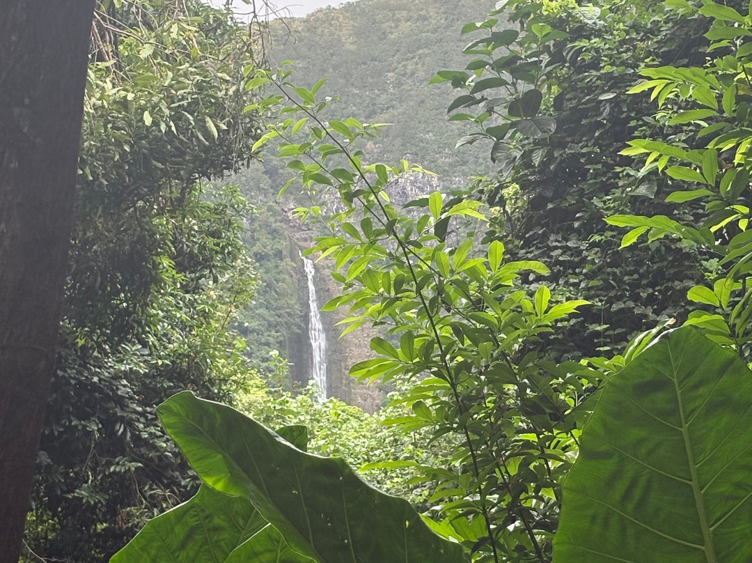 Halawa Falls-摩洛凯岛必去景点