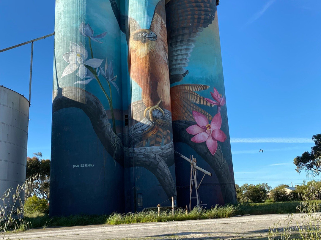 Kaniva Silo Art-Kaniva必去景点