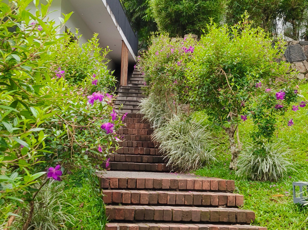 Amaana Plantation Resort主图