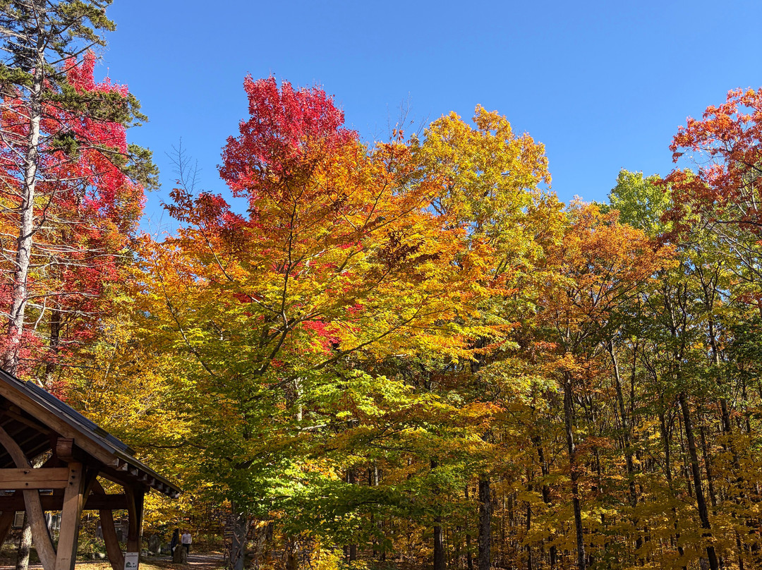 Merck Forest & Farmland Center-Rupert必去景点