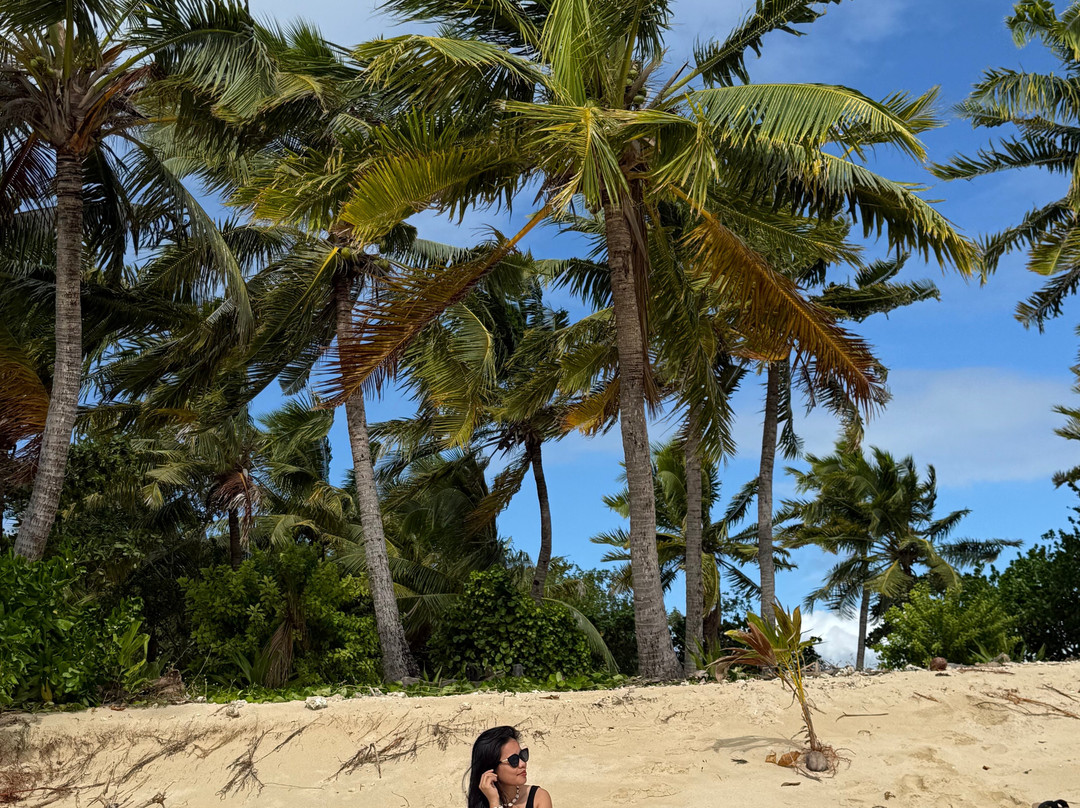 Tivua Island Fiji-纳迪市必去景点