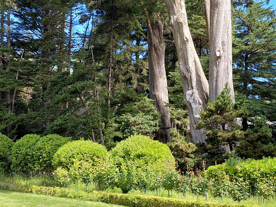 Shore Acres State Park-库斯贝必去景点