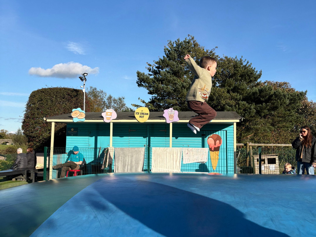 The Ark Open Farm-Newtownards必去景点