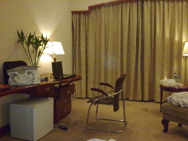 新世纪酒店-客卧