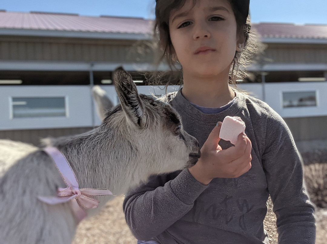 Fromagerie La Suisse Normande
