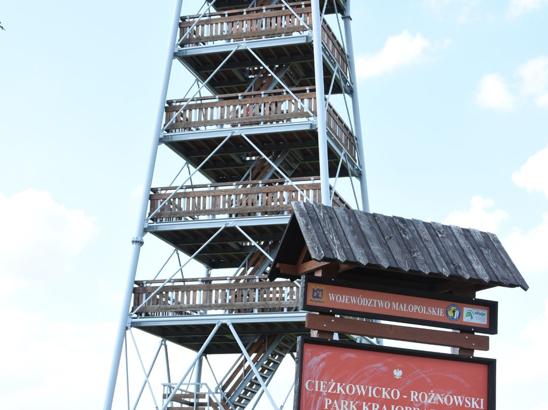Observation Tower in Brusnik景点图片
