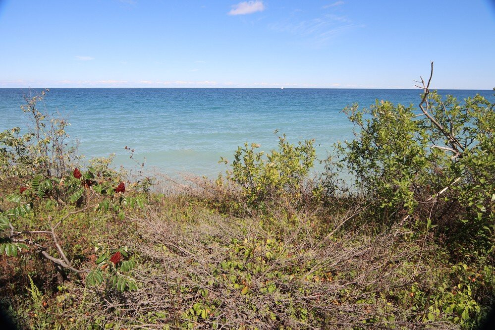 Smokey Head - White Bluff Provincial Nature Reserve景点图片