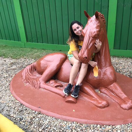 Hotel Balneario do Parque主图