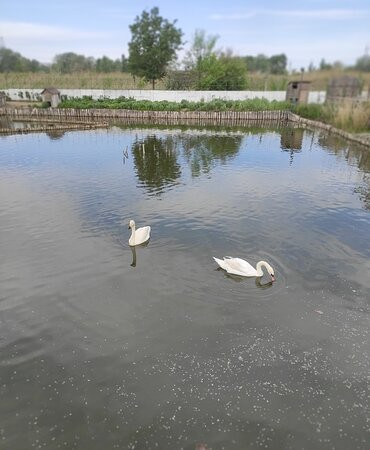 Mariupol Zoo-Mariupol必去景点