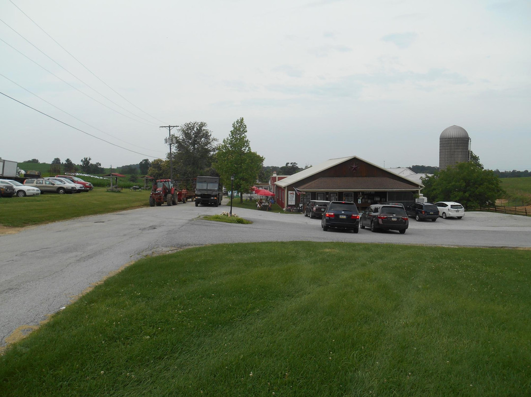 Perrydell Farm Dairy景点图片