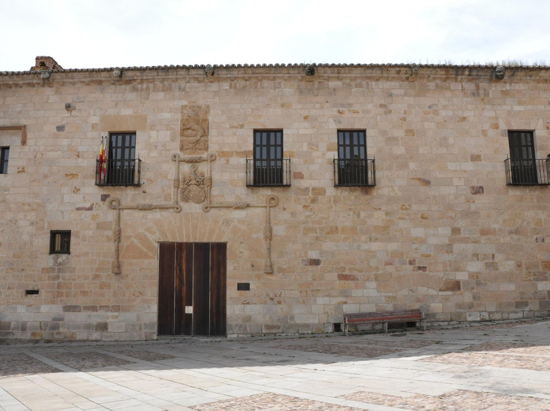 Museo de Zamora景点图片