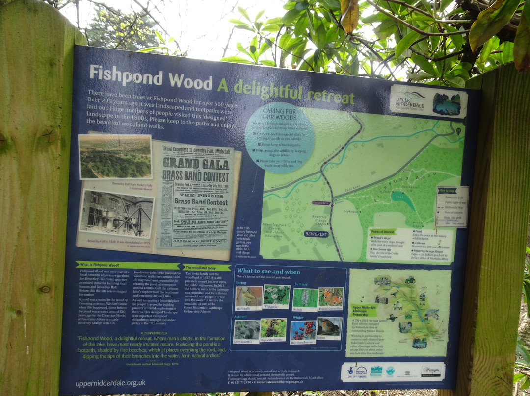 Fishpond Wood景点图片