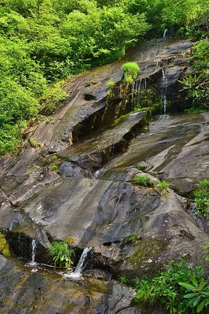 Hunt Fish Falls Trail景点图片