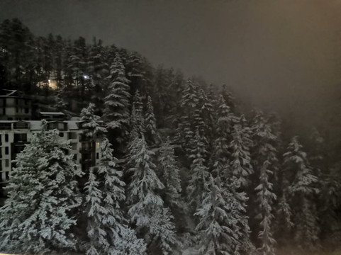 Anchal Regency主图