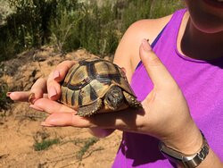 Jonkershoek Nature Reserve-斯泰伦博斯必去景点