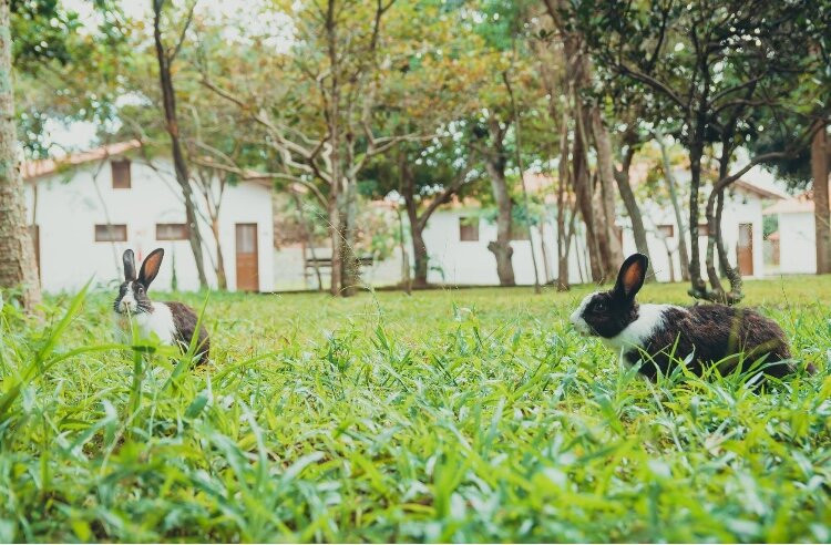 Ibiapaba Hotel主图