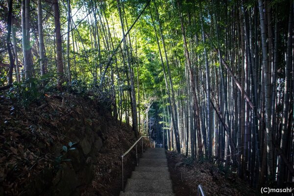 Shinryu Hachidaio Shrine-菊池市必去景点