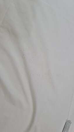 Hotel Express Arrey主图