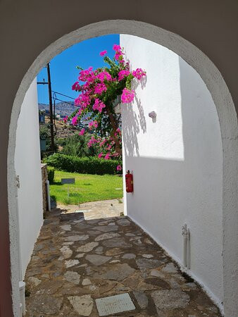 Selena Village主图