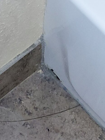 Quality Inn Near Pimlico Racetrack主图