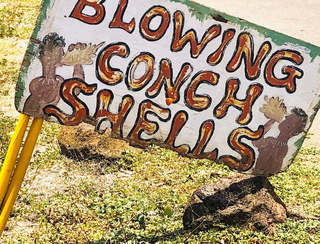 Haleiwa Shell Stand-哈雷瓦必去景点