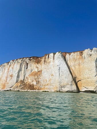 Maverick Boat Adventures景点图片