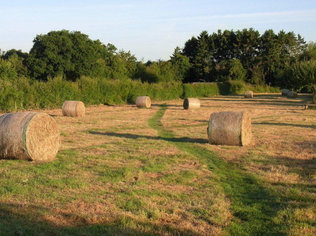 HEREFORDSHIRE GLAMPING