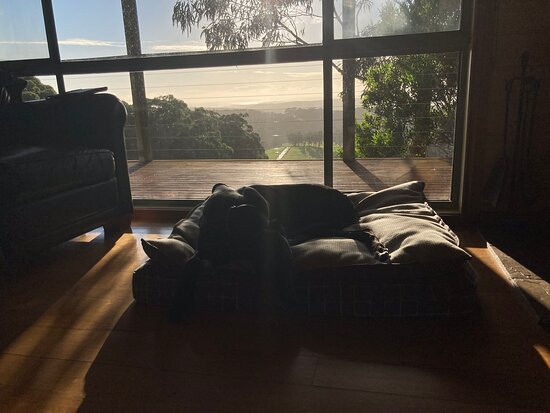 Southern Anchorage Retreat主图